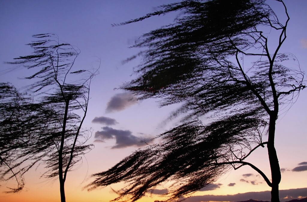 大风、降温！省应急委办公室安全提示