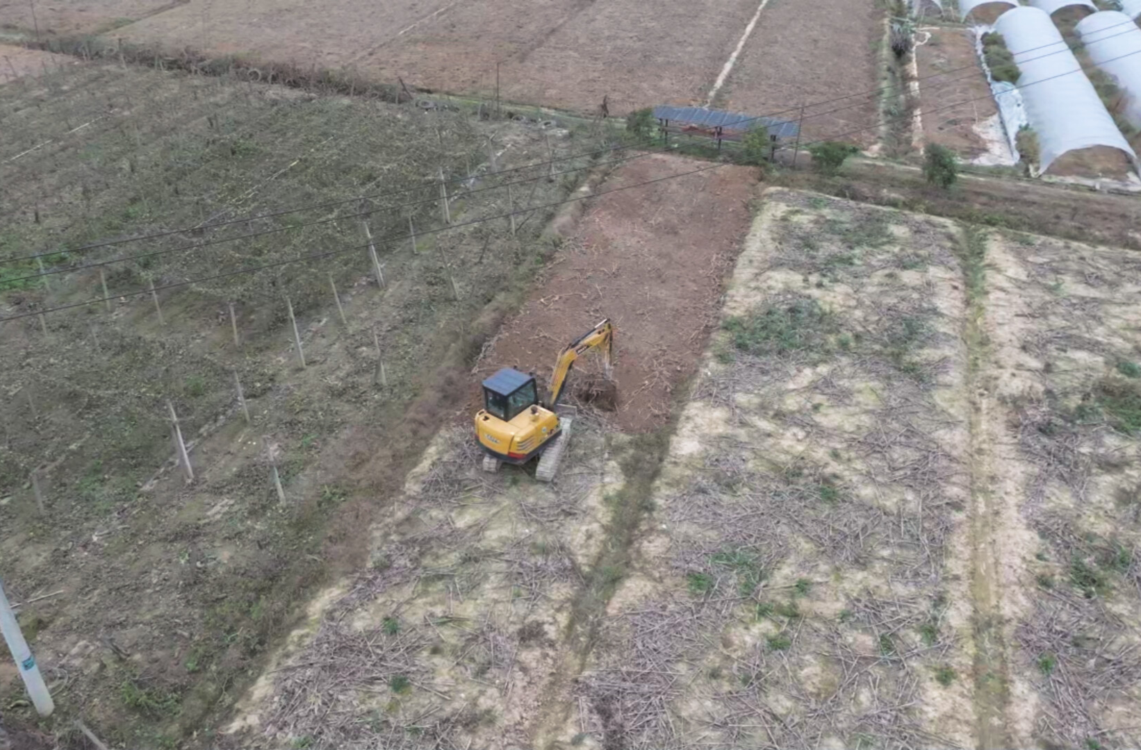 中方县：闲置地上忙冬耕，冬闲田变“致富园”