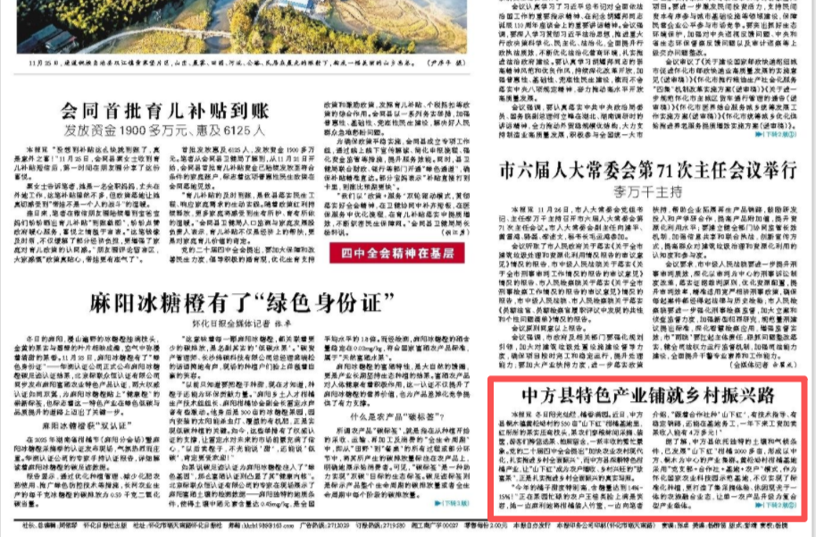 怀化日报头版|中方县特色产业铺就乡村振兴路