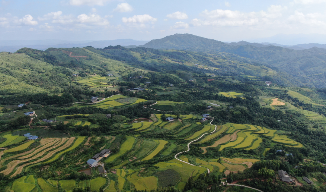 锚定乡村振兴新蓝图——中方县农业农村局热议省委十二届九次全会精神