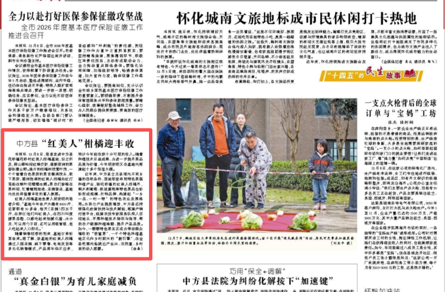 怀化日报|中方县 “红美人”柑橘迎丰收