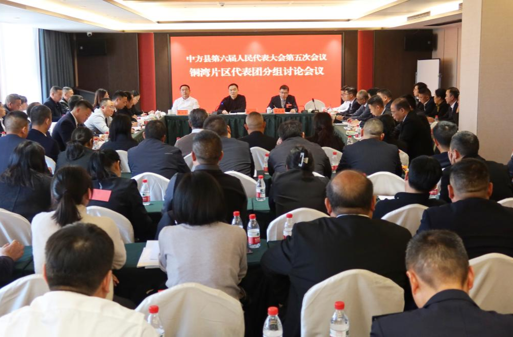 两会报道|胡杰参加县六届人大五次会议铜湾片区、铁坡片区代表团分组讨论