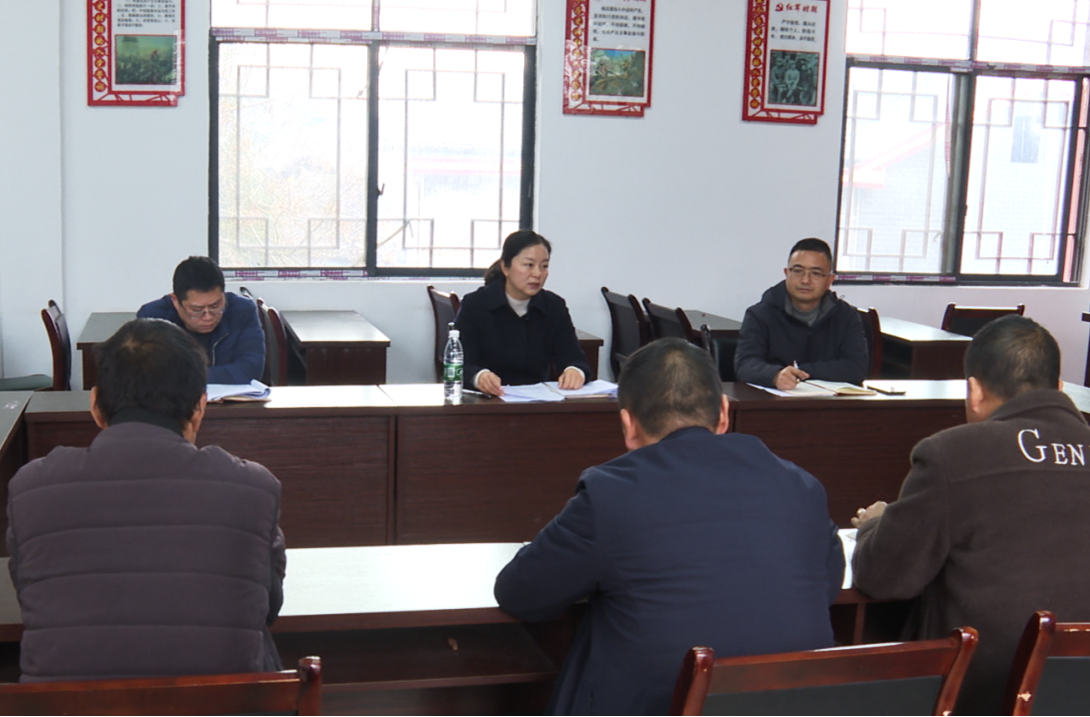 刘佳到袁家镇宣讲党的二十届四中全会精神