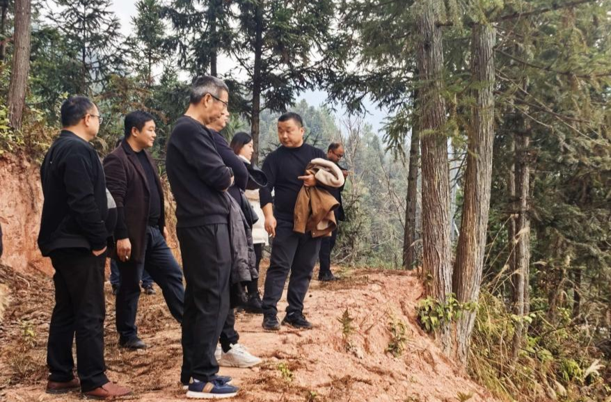 九三学社中方支社到蒿吉坪瑶族乡开展农业产业发展专题调研