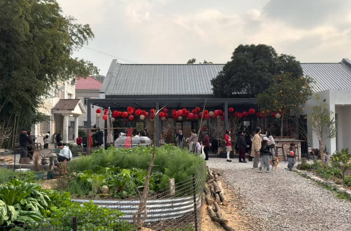 视频|青年返乡种“新田” 农场激活乡村振兴新动能