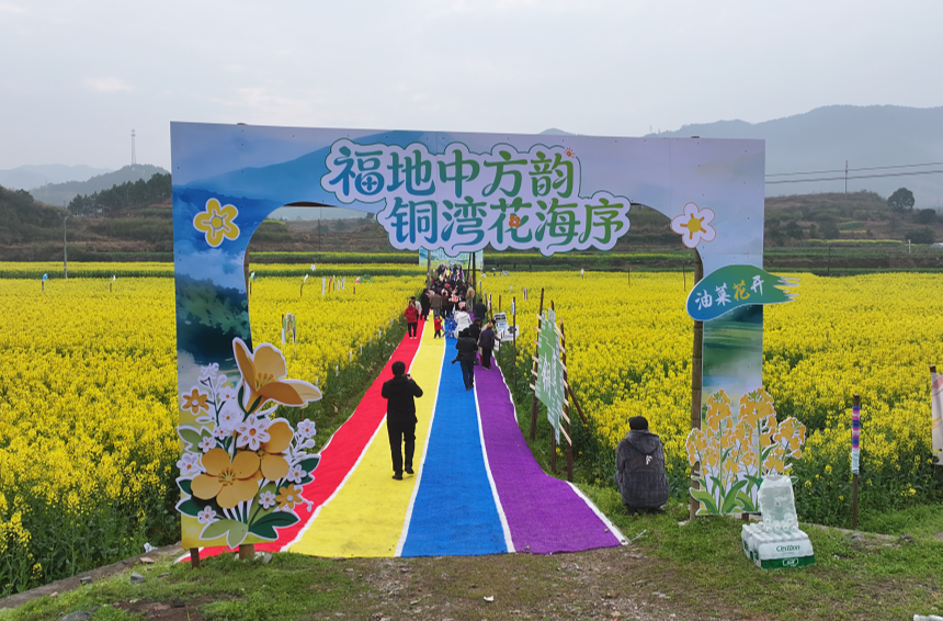 视频｜中方县铜湾镇油菜花节开幕，千亩花海等您来！