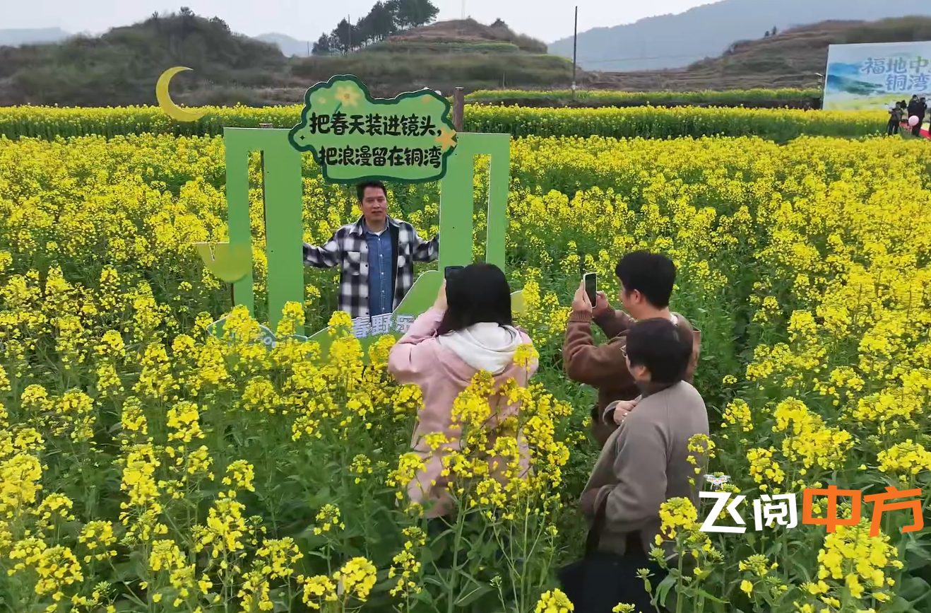 视频|飞阅中方·中方县铜湾镇：金色花海醉游人 如画美景待君来