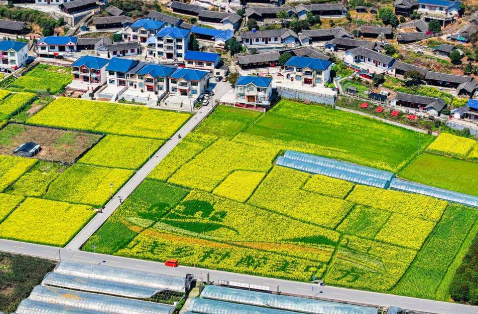 特色产业铺富路 多元赋能启新程——中方县桐木镇激活乡村振兴新动能