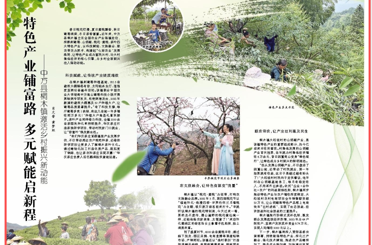 怀化日报|特色产业铺富路 多元赋能启新程 ——中方县桐木镇激活乡村振兴新动能