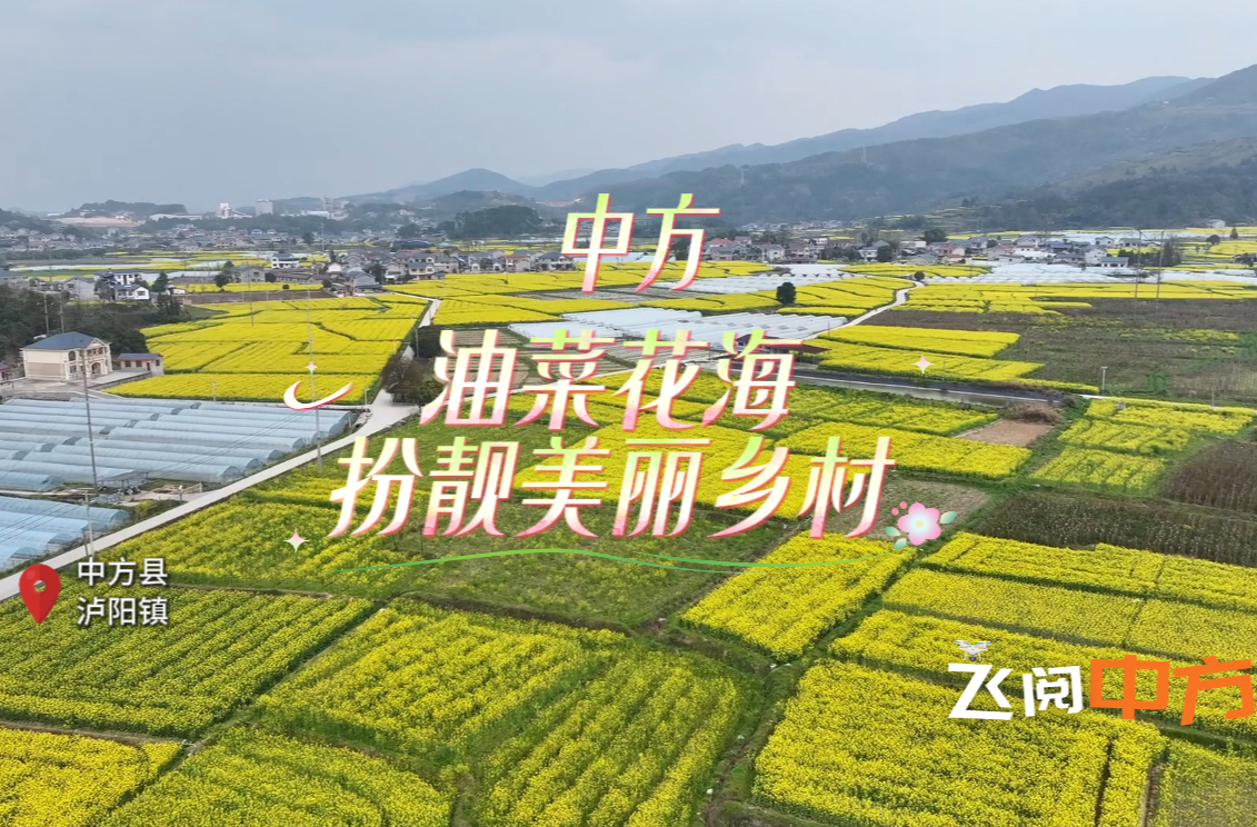 视频｜飞阅中方・中方：油菜花海扮靓美丽乡村