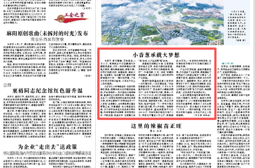 怀化日报|小香葱承载大梦想