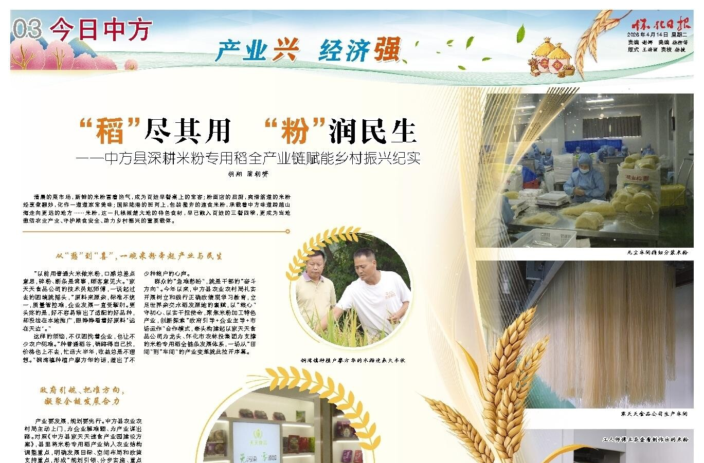 怀化日报|“稻”尽其用 “粉”润民生 ——中方县深耕米粉专用稻全产业链赋能乡村振兴纪实