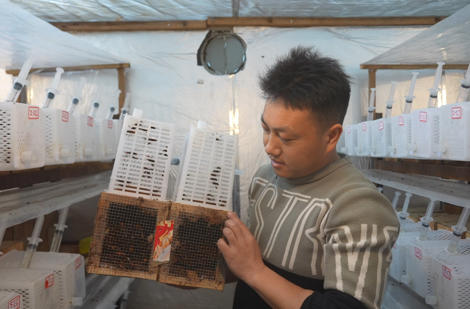 希望的田野|中方县花桥镇：特色养殖显 “蜂” 芒 能人带动助振兴