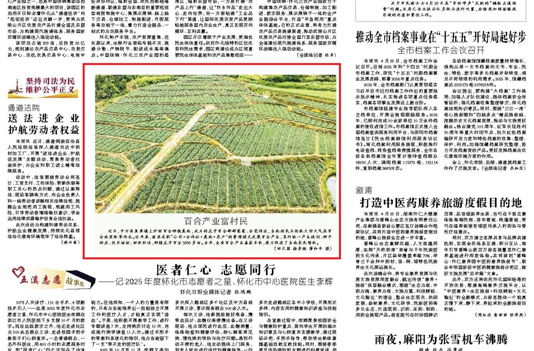 怀化日报|图片新闻·中方县百合产业富村民