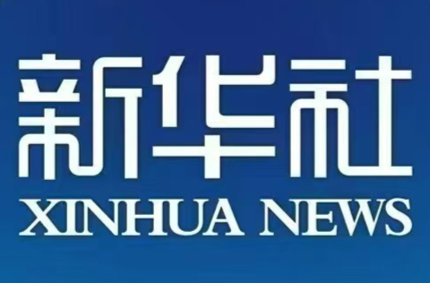 新华社|湖南中方：深山天麻种植旺 助力农业“加速跑”