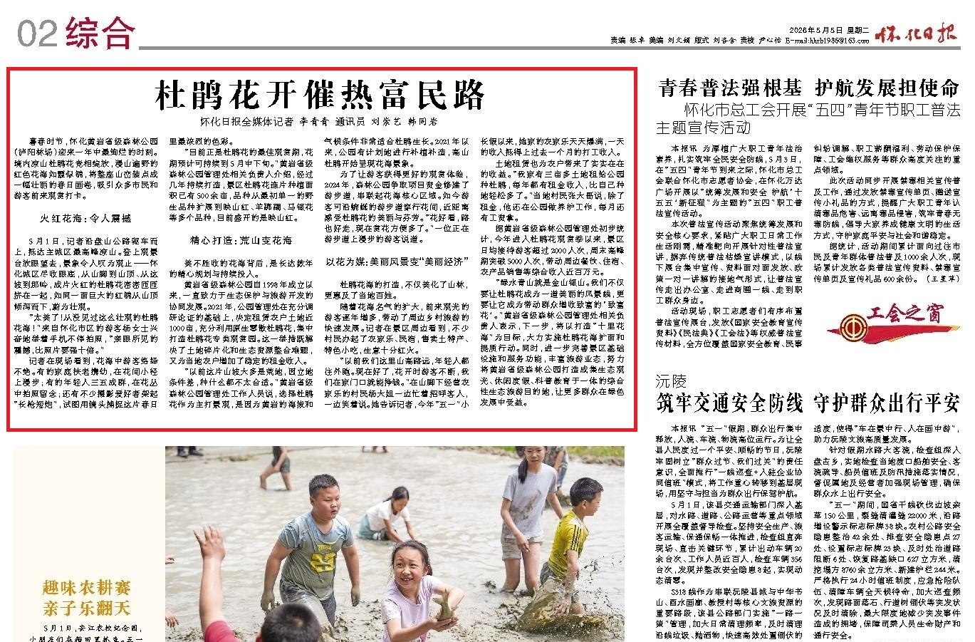 怀化日报|杜鹃花开催热富民路