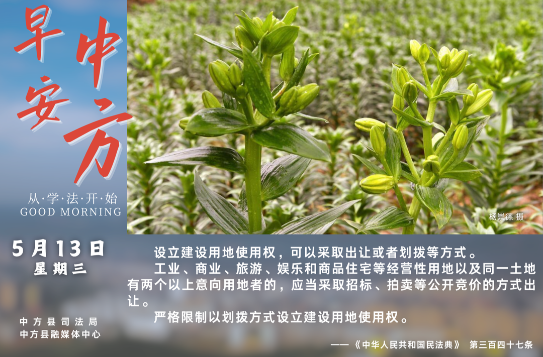 海报|早安中方·从学法开始（三月廿七）