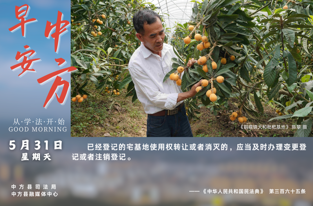 海报|早安中方·从学法开始（四月十五）