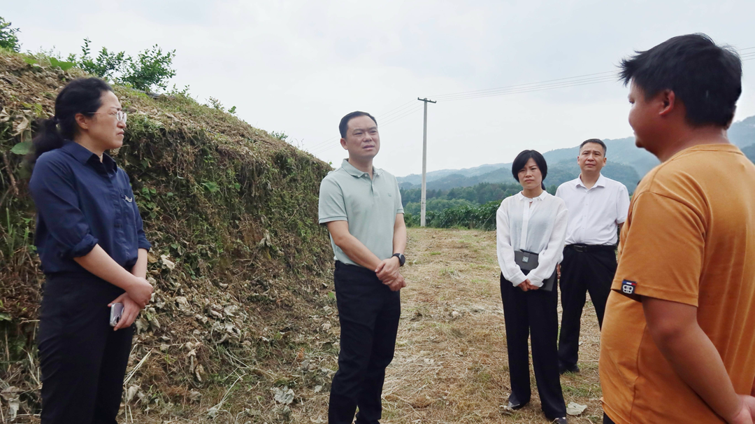 胡杰调研督导农村集体“三资”管理突出问题专项整治工作