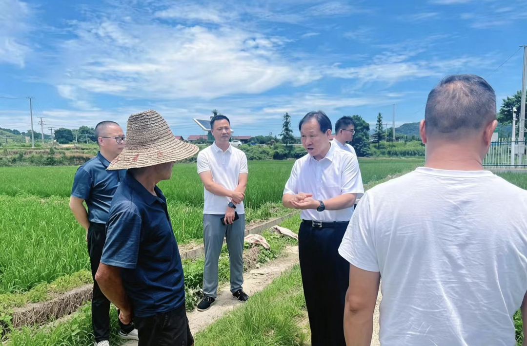 省水稻专家科技助力中方县 精准护航再生稻丰产