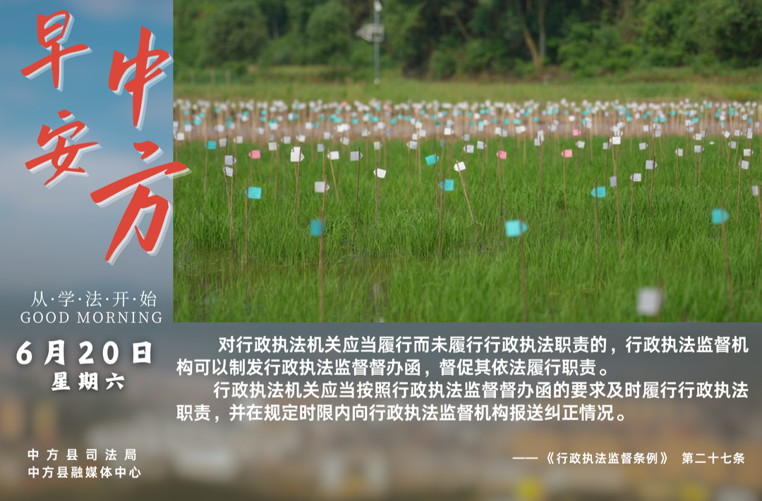 海报|早安中方·从学法开始（五月初六）