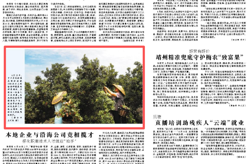 怀化日报头版|中方县花桥镇龙场村杨梅种植基地硕果满枝