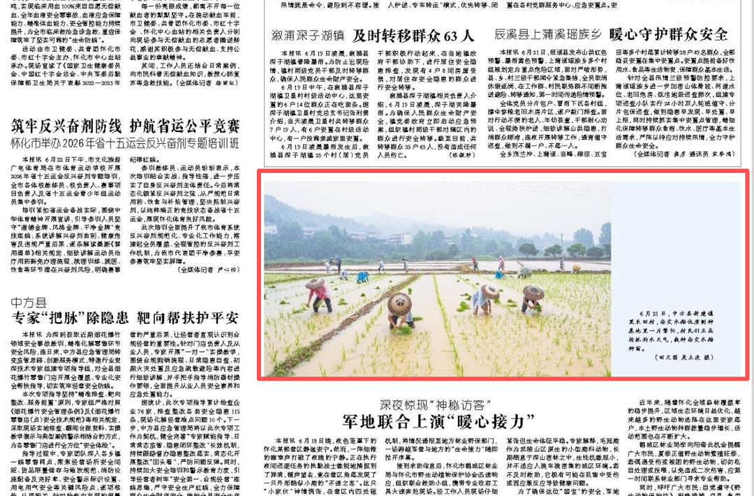 怀化日报图片新闻|中方县新建镇黑禾田村栽种杂交水稻种苗