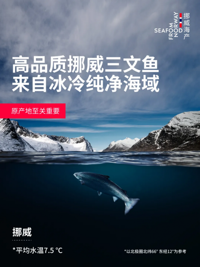 最新挪威三文鱼评价揭秘：原产地优势如何赢得消费者信任