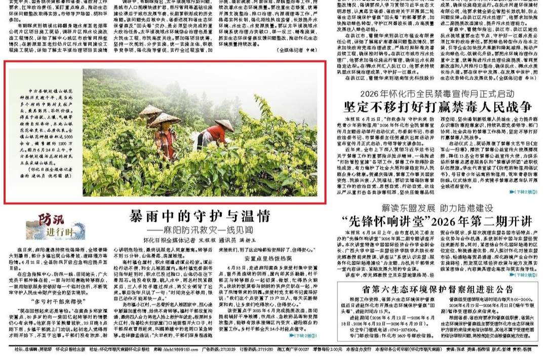 怀化日报头版|图片新闻·中方县铁坡镇活龙村村民采摘山银花