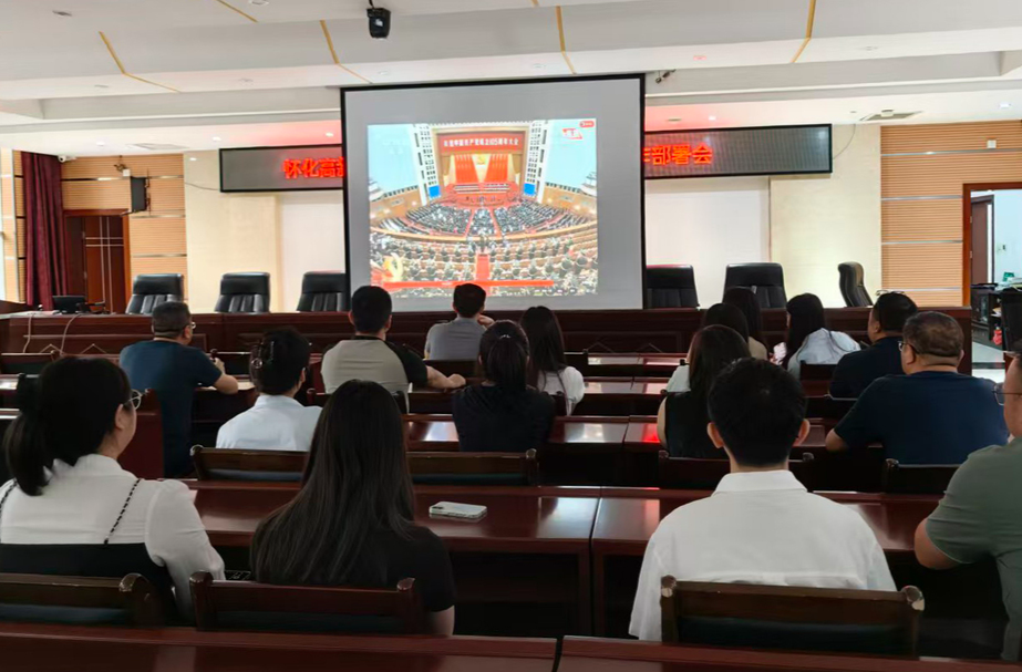 怀化高新区中方片区组织干部职工集中收看庆祝中国共产党成立105周年大会实况直播