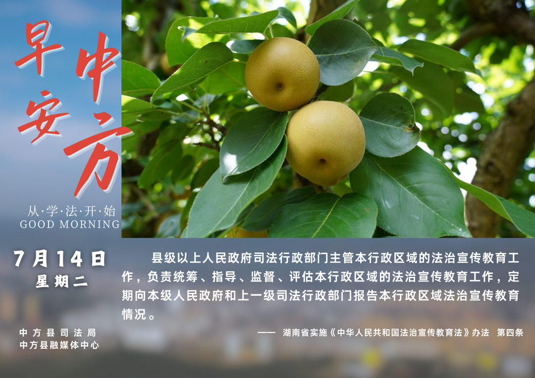 海报|早安中方·从学法开始（六月初一）