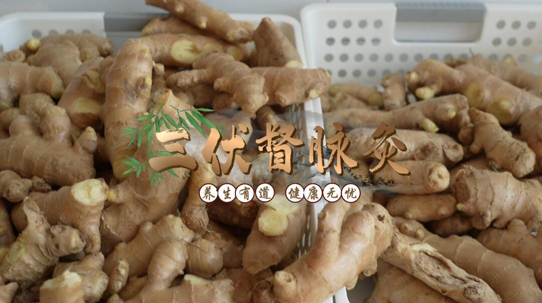 视频|伏天养生之“督脉灸”