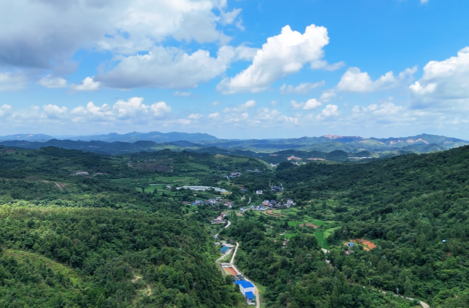 中方夏日：云在山上游 绿在田间漫