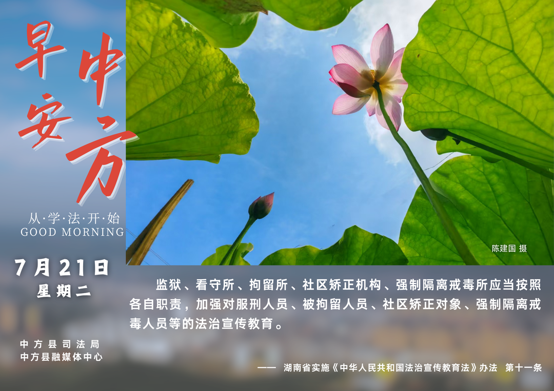 海报|早安中方·从学法开始（六月初八）