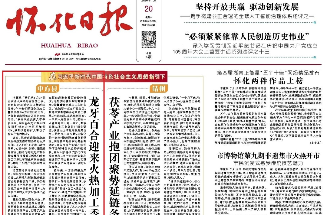 怀化日报头版头条|中方县  龙牙百合迎来火热加工季