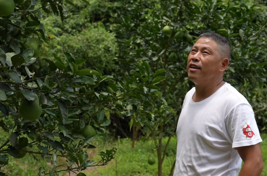 希望的田野|中方县新路河镇小湾坪村：特色果园种植盘活闲置土地 带动群众家门口增收