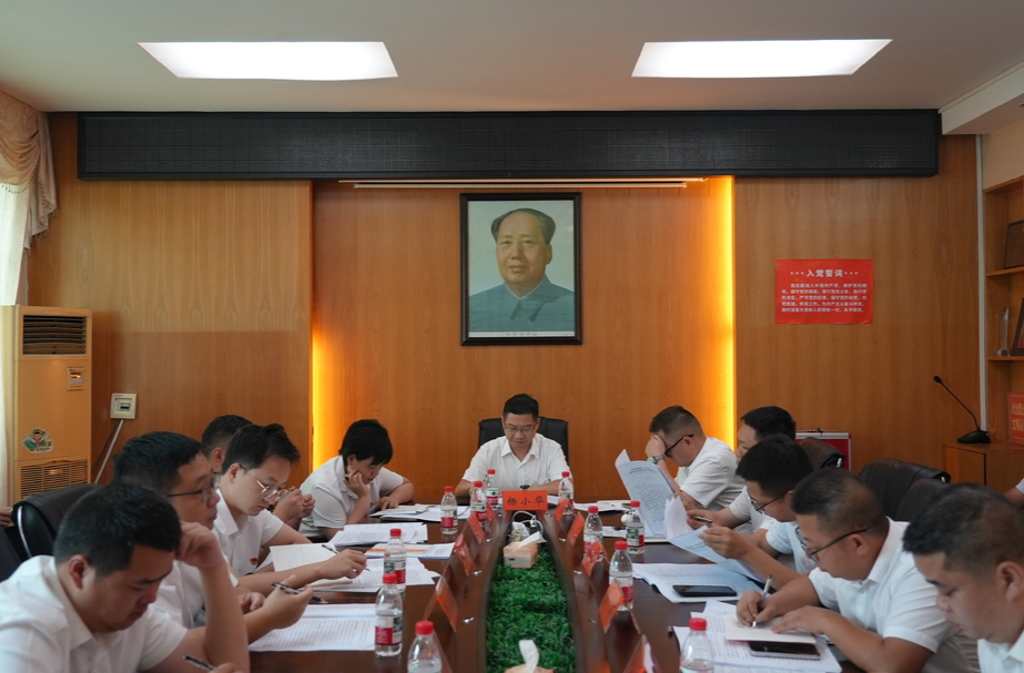 聚焦县第七次党代会｜杨小华等县领导参加县第七次党代会新路河镇、铁坡镇代表团讨论