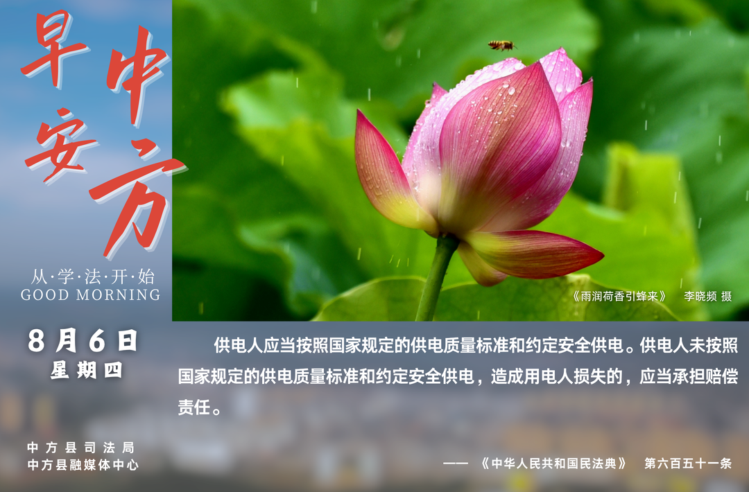 海报|早安中方·从学法开始（六月二十四）