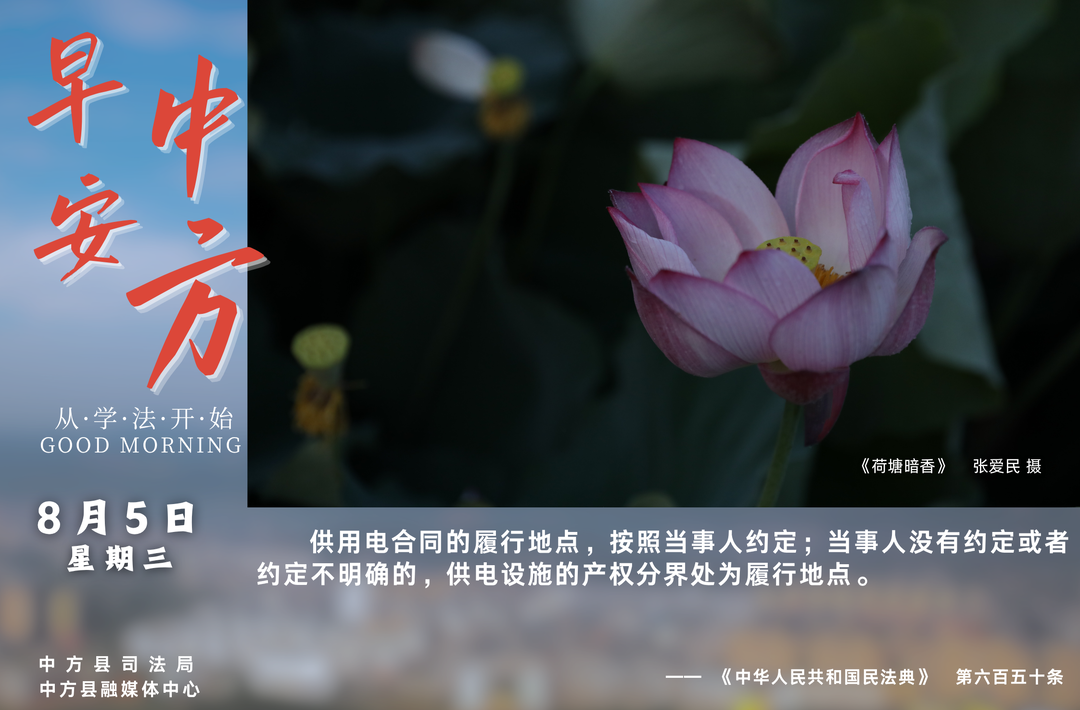 海报|早安中方·从学法开始（六月二十三）
