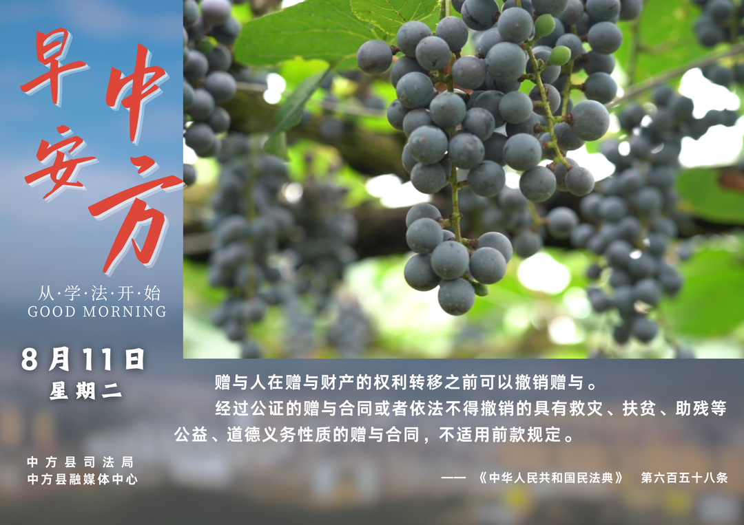 海报|早安中方·从学法开始（六月二十九）