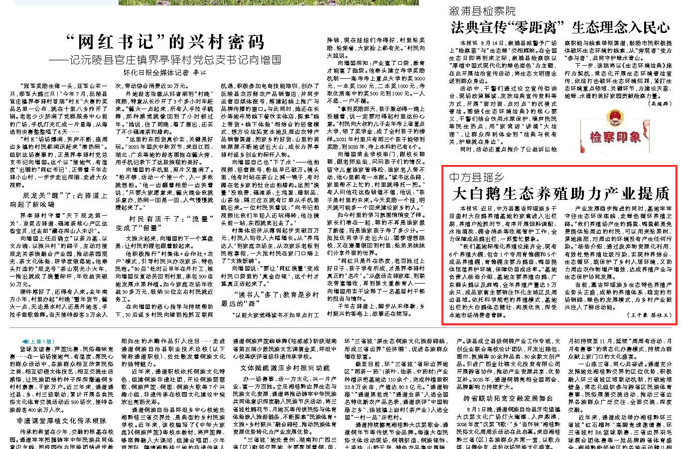 怀化日报｜中方县瑶乡:大白鹅生态养殖助力产业提质