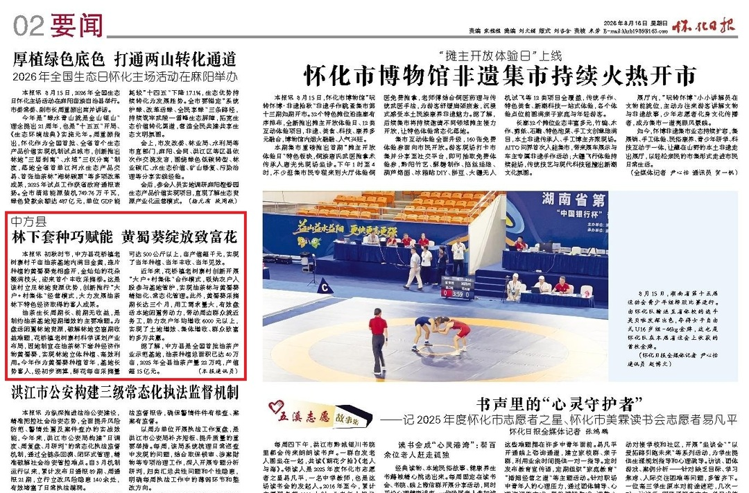 怀化日报|中方县 :林下套种巧赋能 黄蜀葵绽放致富花