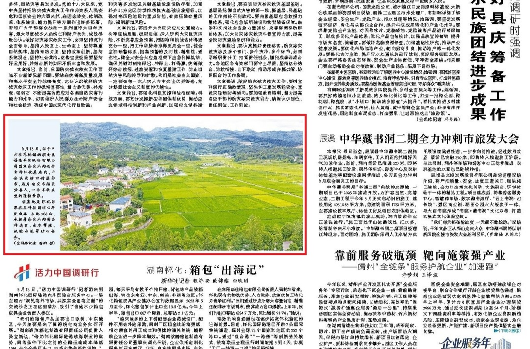 怀化日报头版|图片新闻：中方县花桥镇杂交水稻创新育种基地杂交水稻长势喜人