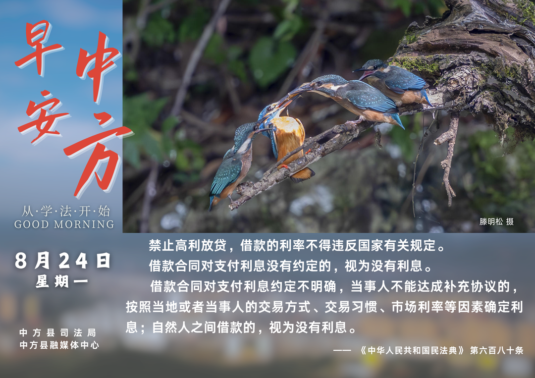 海报|早安中方·从学法开始（七月十二）