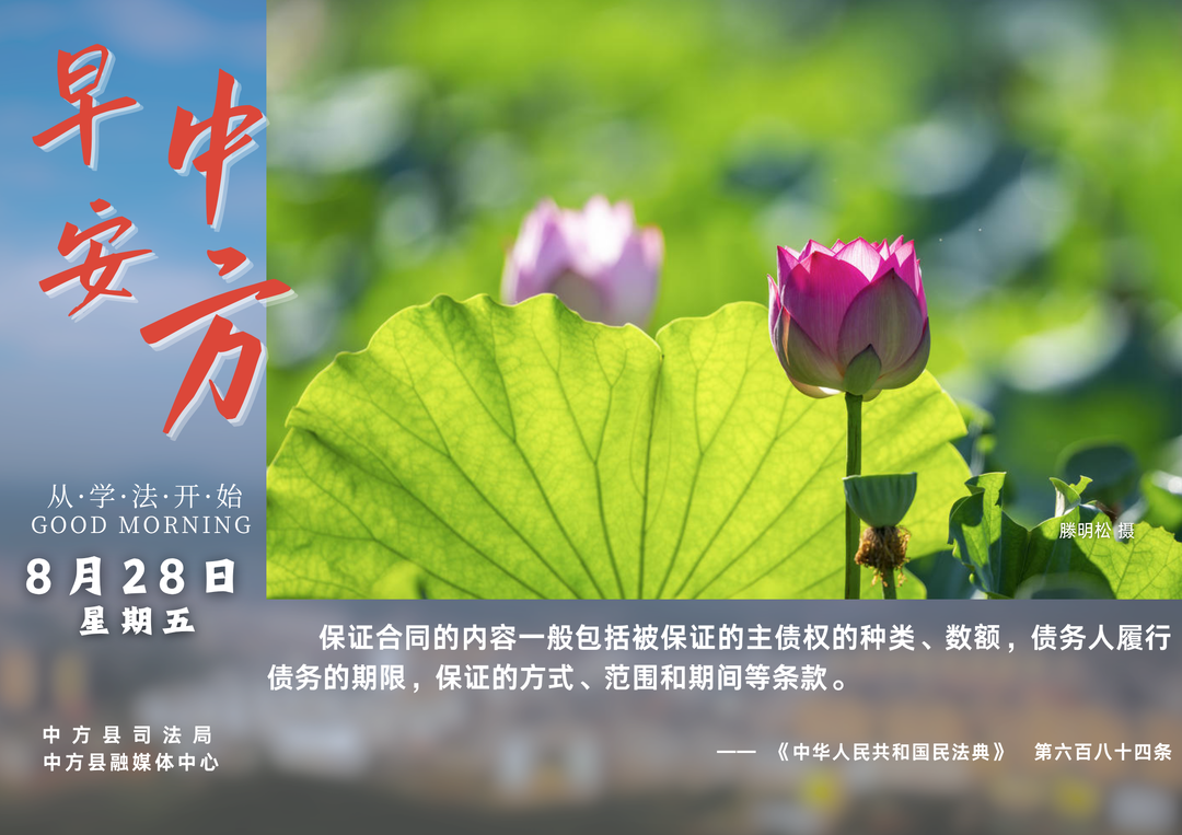 海报|早安中方·从学法开始（七月十六）