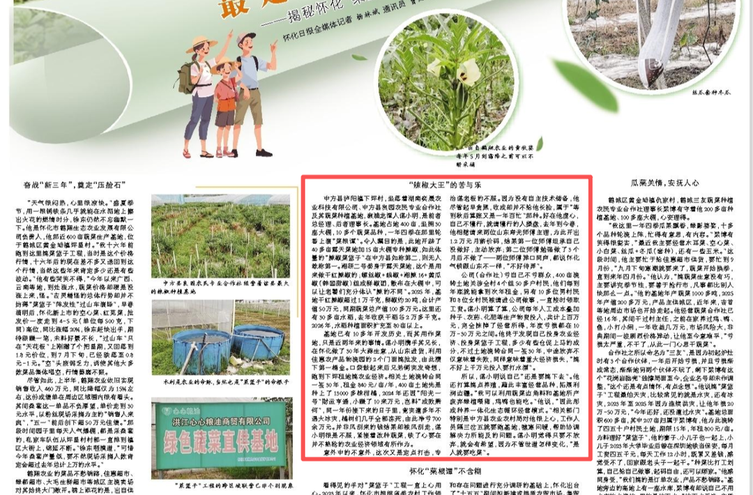 怀化日报|中方县泸阳镇“辣椒大王”的苦与乐