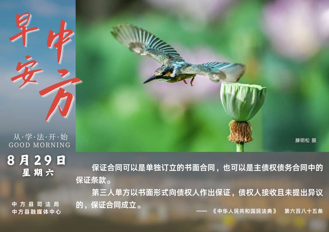 海报|早安中方·从学法开始（七月十七）