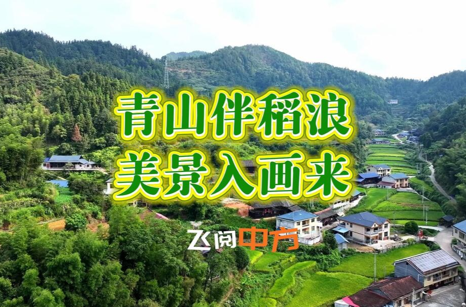 飞阅中方|中方县大竹村：青山伴稻浪 美景入画来