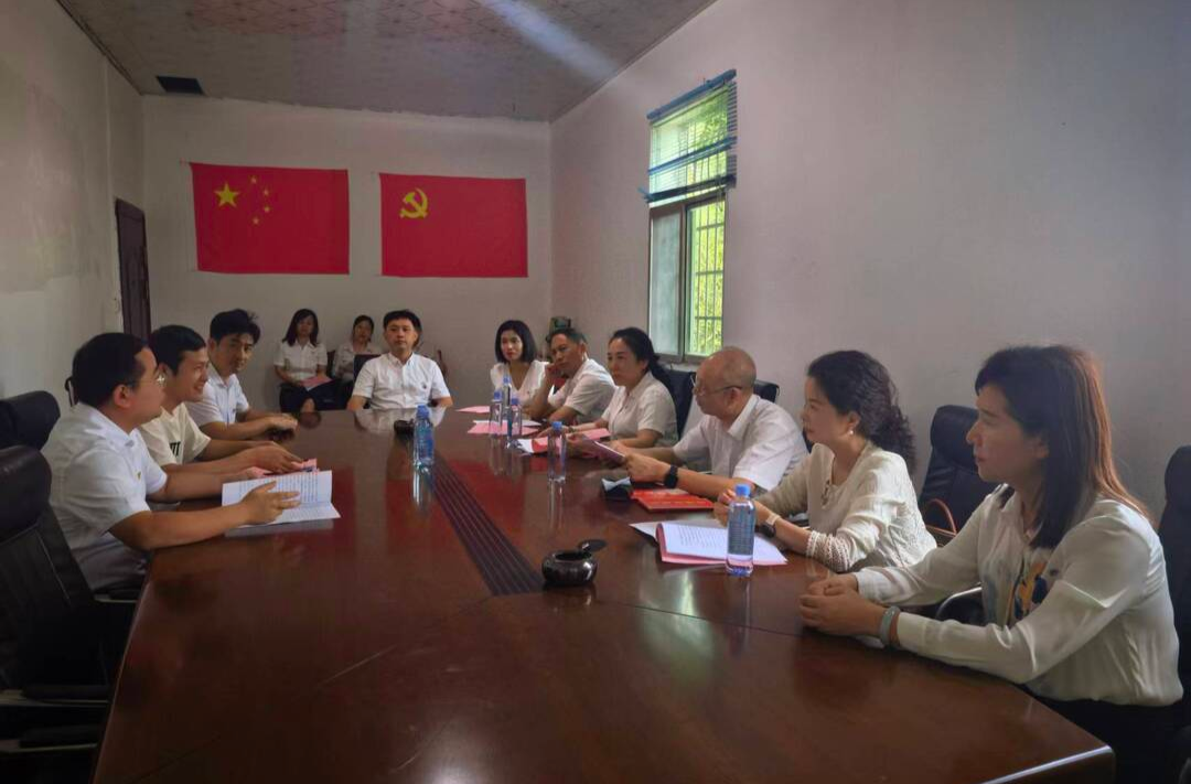 中方县泸阳镇：省卫生健康委多支部联合开展主题党日活动