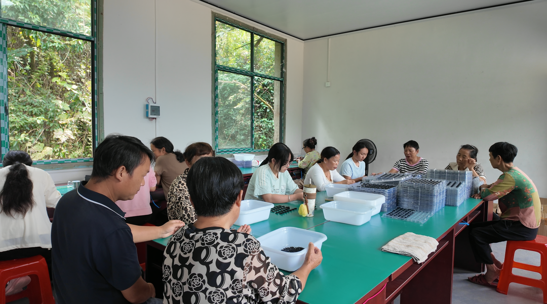 技能送到家门口 增收不用远奔走 中方县新建镇做强乡村 “指尖经济”